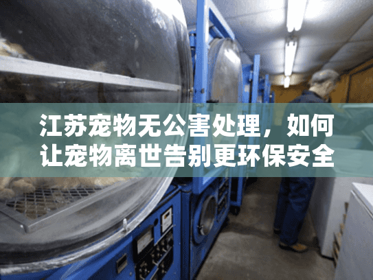 江苏宠物无公害处理,如何让宠物离世告别更环保安全? 江苏宠物无公害处理,如何让宠物离世告别更环保安全?