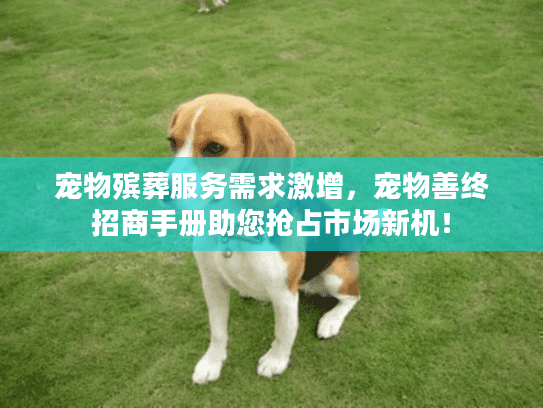 宠物殡葬服务需求激增，宠物善终招商手册助您抢占市场新机！