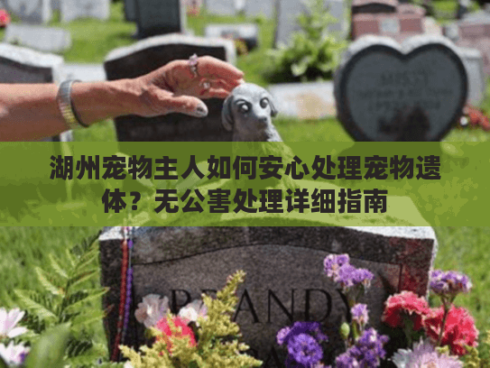 湖州宠物主人如何安心处理宠物遗体？无公害处理详细指南