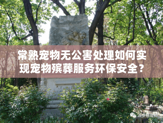 常熟宠物无公害处理如何实现宠物殡葬服务环保安全？