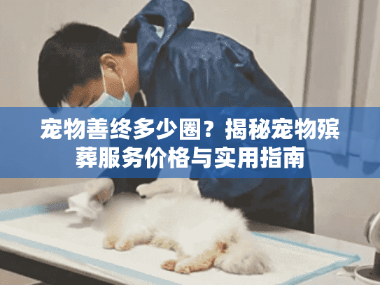 宠物善终多少圈？揭秘宠物殡葬服务价格与实用指南