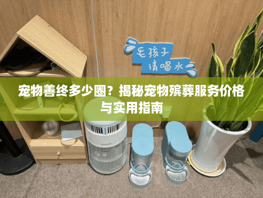 宠物善终多少圈？揭秘宠物殡葬服务价格与实用指南
