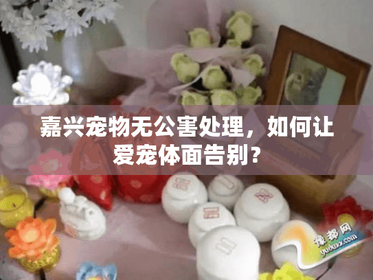 嘉兴宠物无公害处理，如何让爱宠体面告别？