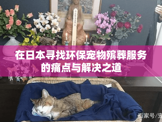 在日本寻找环保宠物殡葬服务的痛点与解决之道