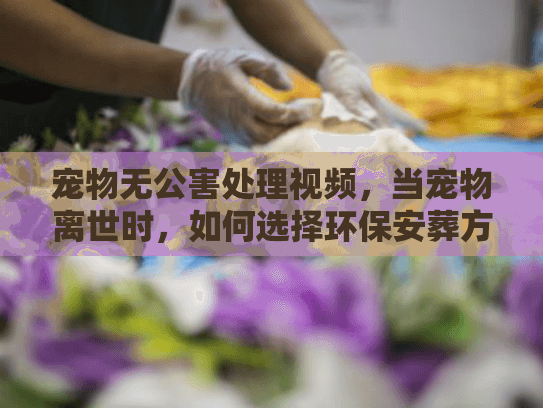 宠物无公害处理视频，当宠物离世时，如何选择环保安葬方案？