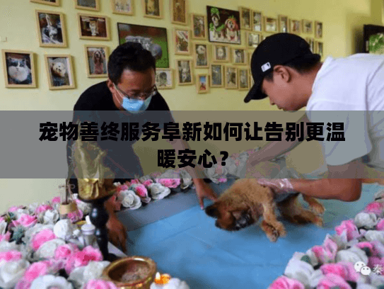 宠物善终服务阜新如何让告别更温暖安心？