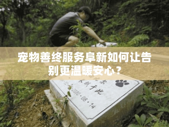 宠物善终服务阜新如何让告别更温暖安心？