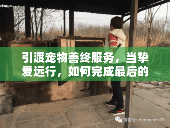 引渡宠物善终服务，当挚爱远行，如何完成最后的跨国守护？