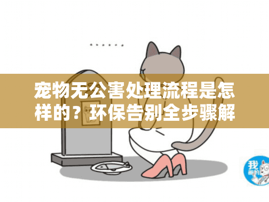 宠物无公害处理流程是怎样的？环保告别全步骤解析