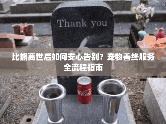 比熊离世后如何安心告别？宠物善终服务全流程指南