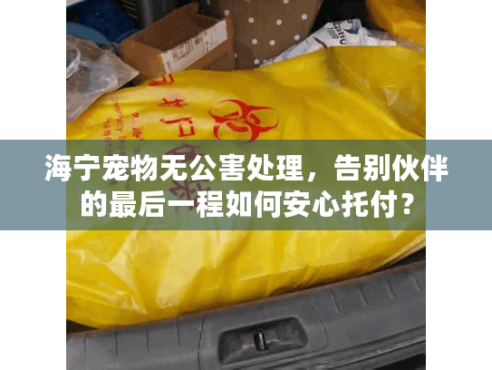 海宁宠物无公害处理，告别伙伴的最后一程如何安心托付？