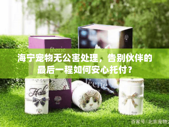 海宁宠物无公害处理，告别伙伴的最后一程如何安心托付？