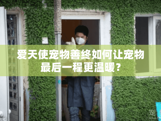 爱天使宠物善终如何让宠物最后一程更温暖？