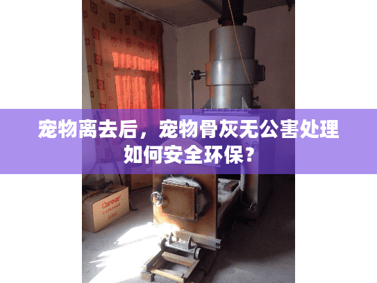 宠物离去后，宠物骨灰无公害处理如何安全环保？