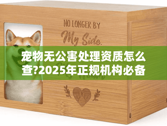宠物无公害处理资质怎么查?2025年正规机构必备认证指南