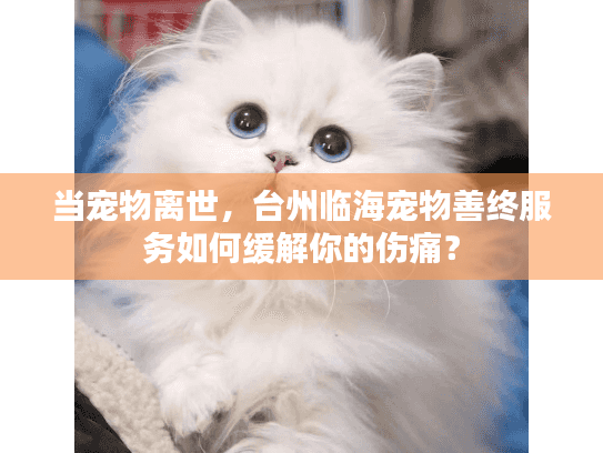 当宠物离世，台州临海宠物善终服务如何缓解你的伤痛？