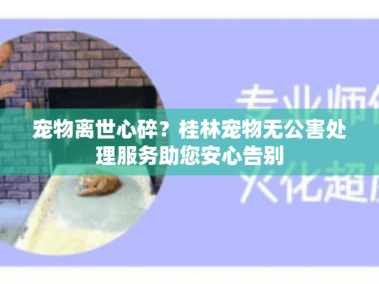 宠物离世心碎？桂林宠物无公害处理服务助您安心告别