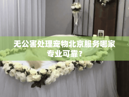 无公害处理宠物北京服务哪家专业可靠？