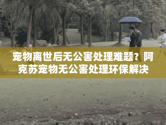 宠物离世后无公害处理难题？阿克苏宠物无公害处理环保解决方案