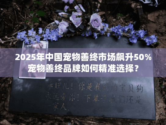 2025年中国宠物善终市场飙升50%宠物善终品牌如何精准选择？