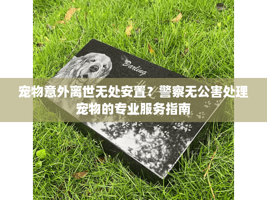 宠物意外离世无处安置？警察无公害处理宠物的专业服务指南
