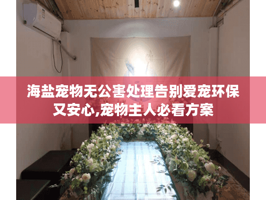 海盐宠物无公害处理告别爱宠环保又安心,宠物主人必看方案