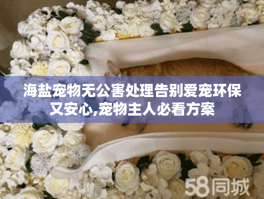 海盐宠物无公害处理告别爱宠环保又安心,宠物主人必看方案