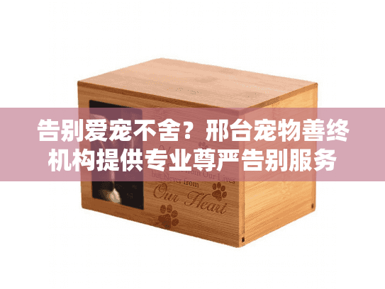 告别爱宠不舍？邢台宠物善终机构提供专业尊严告别服务