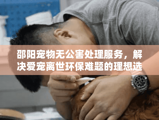 邵阳宠物无公害处理服务，解决爱宠离世环保难题的理想选择？