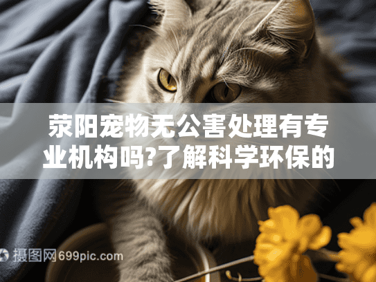 荥阳宠物无公害处理有专业机构吗?了解科学环保的告别方式 荥阳宠物无公害处理有专业机构吗?了解科学环保的告别方式