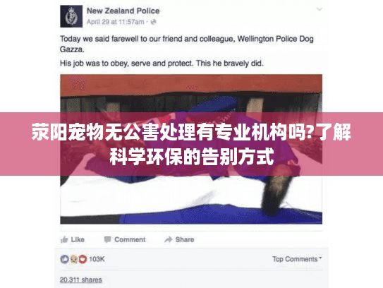 荥阳宠物无公害处理有专业机构吗?了解科学环保的告别方式 荥阳宠物无公害处理有专业机构吗?了解科学环保的告别方式