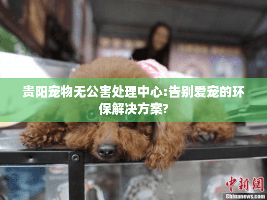 贵阳宠物无公害处理中心:告别爱宠的环保解决方案?