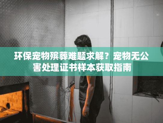环保宠物殡葬难题求解？宠物无公害处理证书样本获取指南