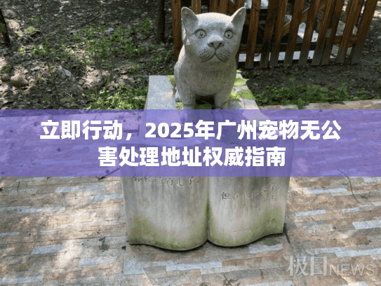 立即行动，2025年广州宠物无公害处理地址权威指南