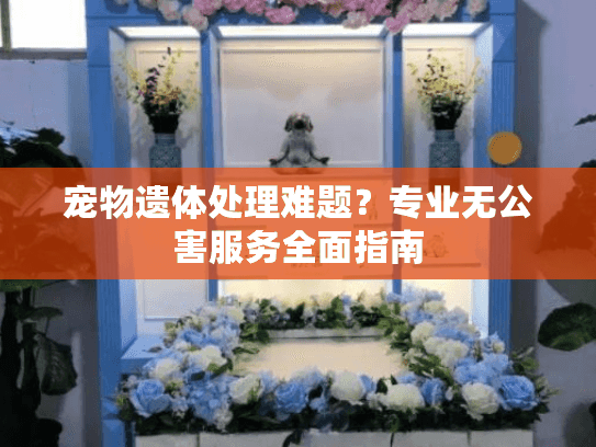 宠物遗体处理难题？专业无公害服务全面指南