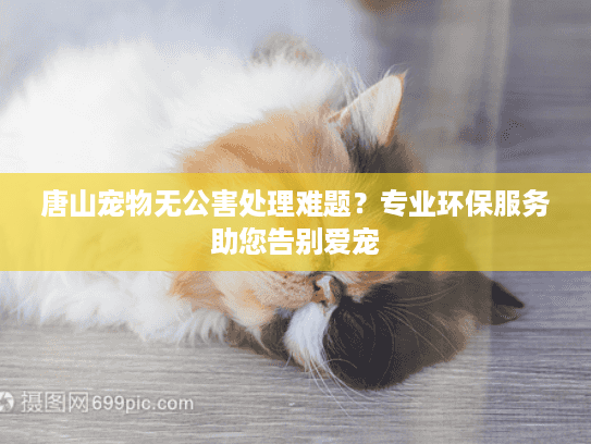 唐山宠物无公害处理难题？专业环保服务助您告别爱宠