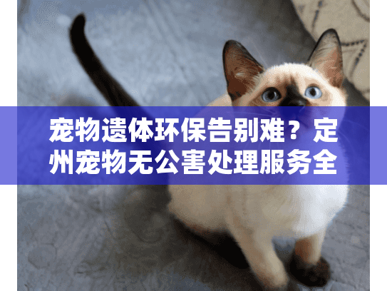 宠物遗体环保告别难？定州宠物无公害处理服务全指南