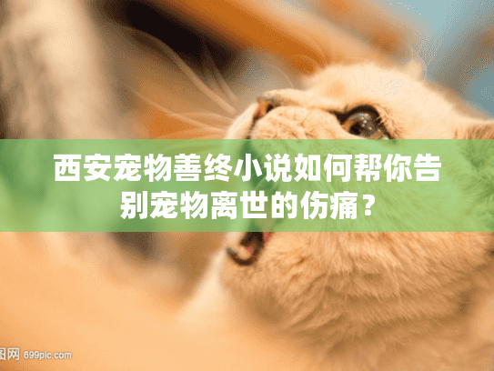 西安宠物善终小说如何帮你告别宠物离世的伤痛？