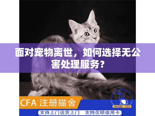 面对宠物离世，如何选择无公害处理服务？