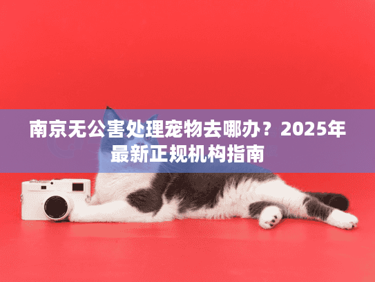 南京无公害处理宠物去哪办？2025年最新正规机构指南