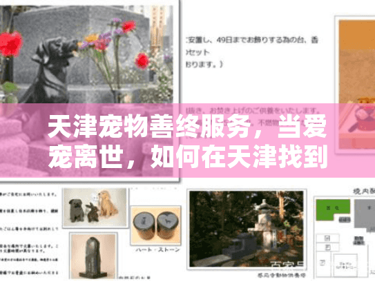 天津宠物善终服务，当爱宠离世，如何在天津找到专业告别方案？