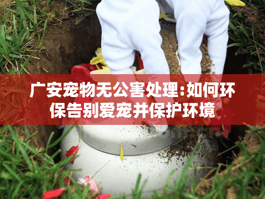 广安宠物无公害处理:如何环保告别爱宠并保护环境