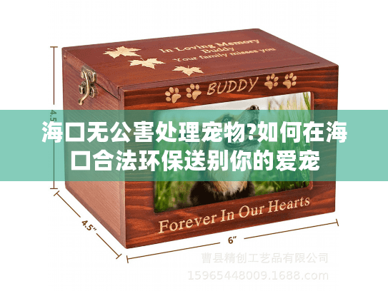 海口无公害处理宠物?如何在海口合法环保送别你的爱宠