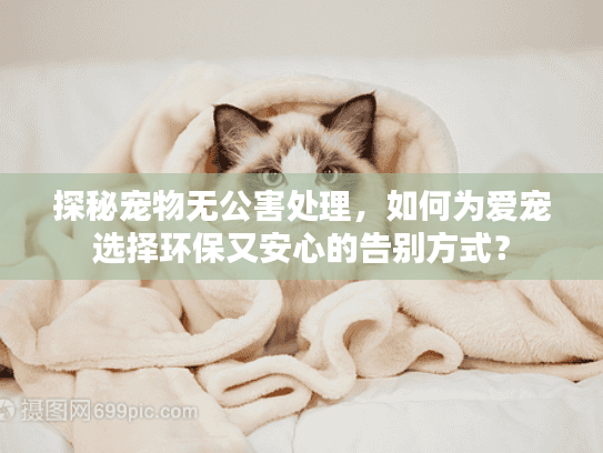 探秘宠物无公害处理，如何为爱宠选择环保又安心的告别方式？