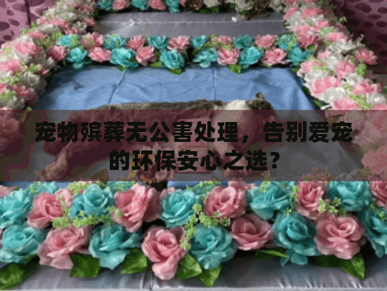 宠物殡葬无公害处理，告别爱宠的环保安心之选？