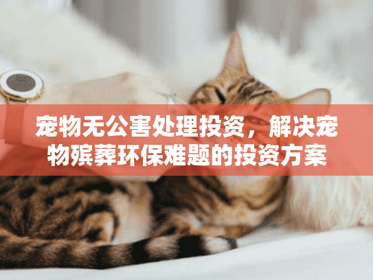 宠物无公害处理投资，解决宠物殡葬环保难题的投资方案