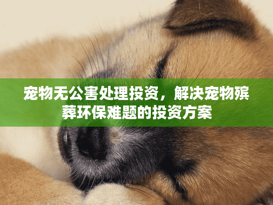 宠物无公害处理投资，解决宠物殡葬环保难题的投资方案