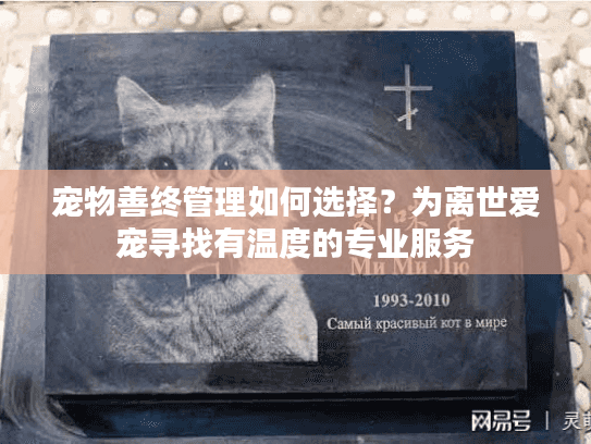 宠物善终管理如何选择？为离世爱宠寻找有温度的专业服务