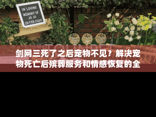 剑网三死了之后宠物不见？解决宠物死亡后殡葬服务和情感恢复的全指南