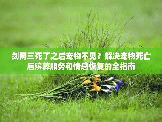 剑网三死了之后宠物不见？解决宠物死亡后殡葬服务和情感恢复的全指南